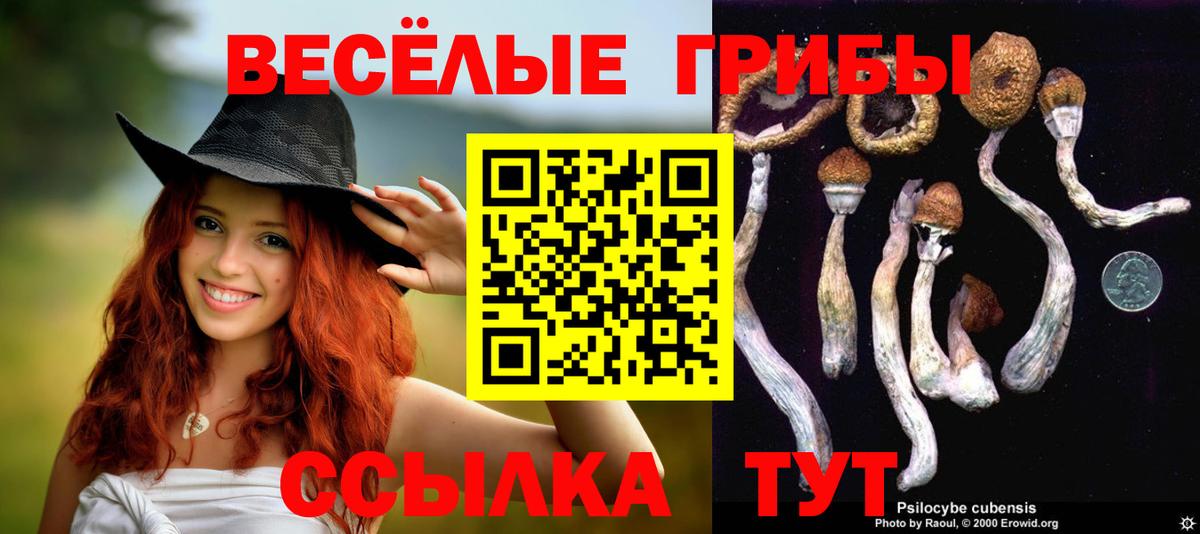 Галлюциногенные грибы MAGIC MUSHROOMS  Вход с VPN  Камышлов  Галлюциногенные грибы ЛСД 