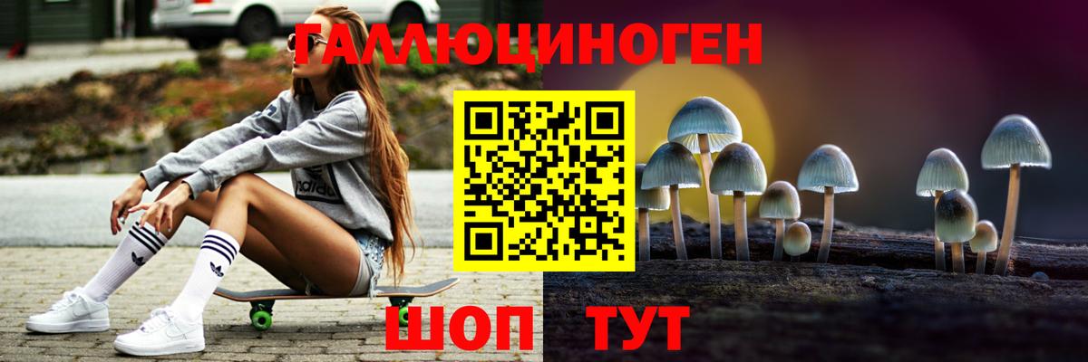 Галлюциногенные грибы Psilocybine cubensis Камышлов